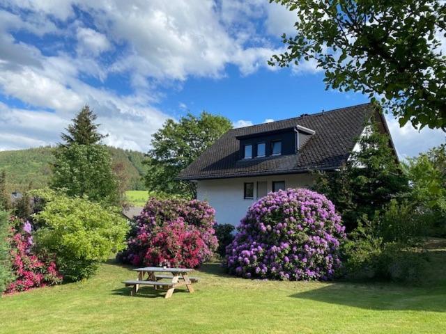 Apartmán Auf Der Platte Winterberg Exteriér fotografie